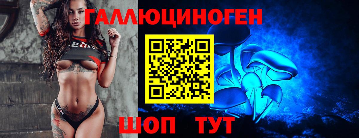 Галлюциногенные грибы Cubensis Зерноград