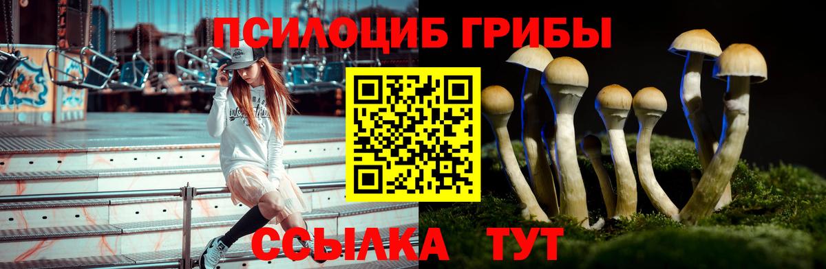 Галлюциногенные грибы Psilocybine cubensis  Вход с VPN  Зерноград 
